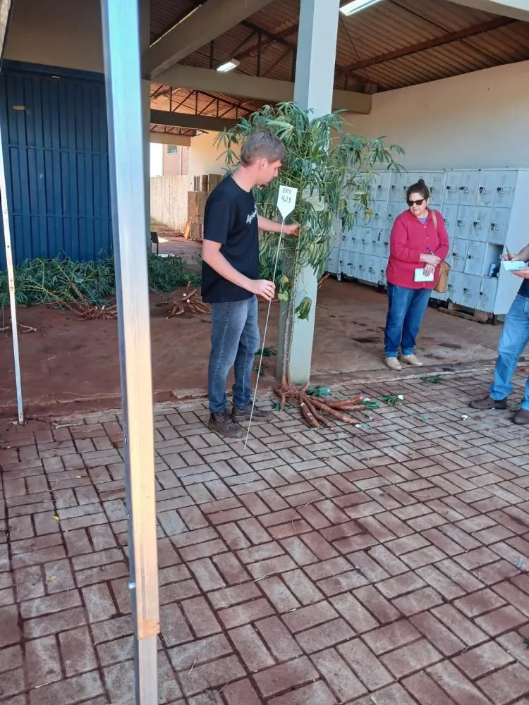 Administração Municipal intensifica ações voltadas ao setor agrícola