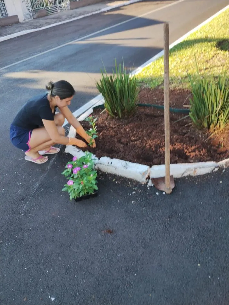 Moradores e empresas adotam canteiros na Avenida Ijuí 