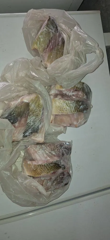 Porto clandestino, desmatamento e pesca ilegal são combatidos pela Brigada Militar na Operação Agro-Hórus