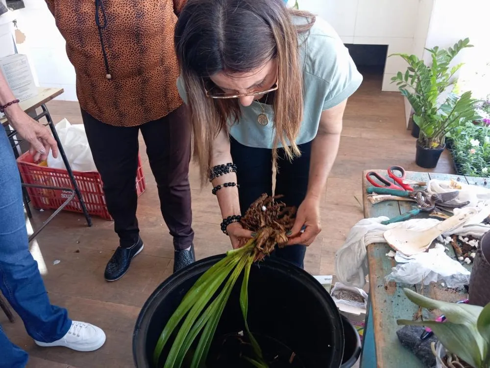 Grupo Viva a Vida Mulher participa de curso de jardinagem no Bosque Municipal