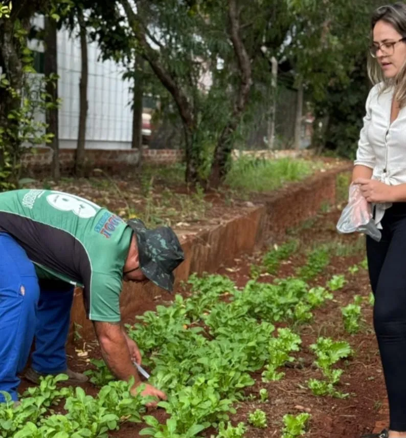 Secretaria de Serviços Urbanos cria horta sustentável