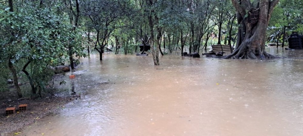 A comunidade Pindo Poty, do povo Guarani Mbya, que fica localizada no bairro Lami, em Porto Alegre é uma das mais afetadas pelas chuvas no Rio Grande do Sul. Foto: Roberto Liegbott/Cimi