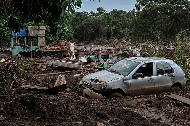 Foto: Felipe Werneck/Ibama