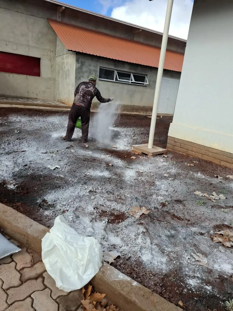 Paisagismo valoriza entorno do Centro de Convivência e CRAS em Derrubadas