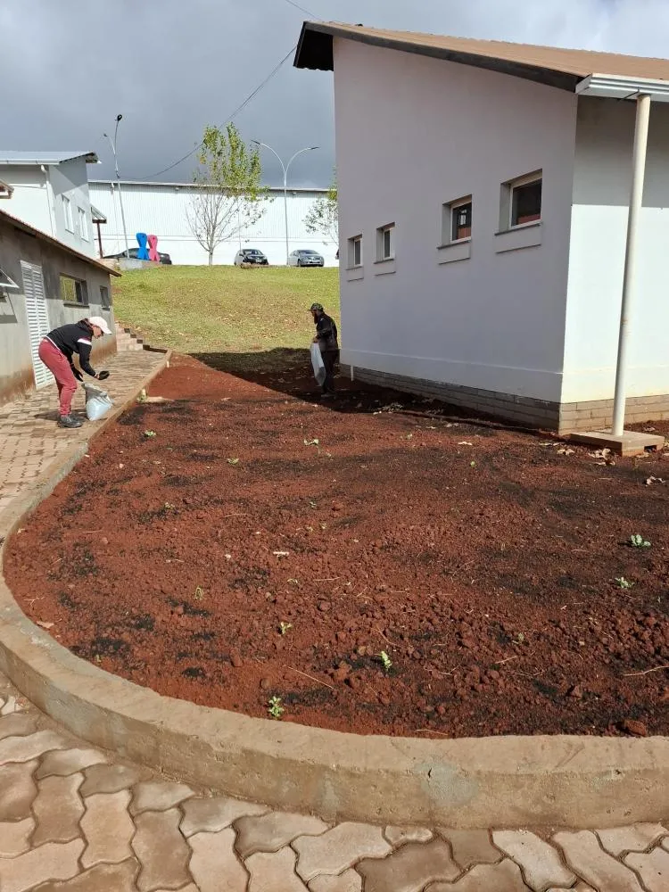 Paisagismo valoriza entorno do Centro de Convivência e CRAS em Derrubadas