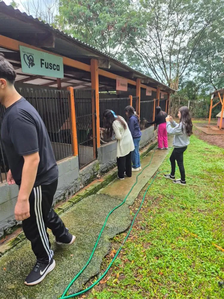 Projeto “Sua Ajuda Traz Esperança” arrecada mais de 230 kg de ração para ONG A Passos