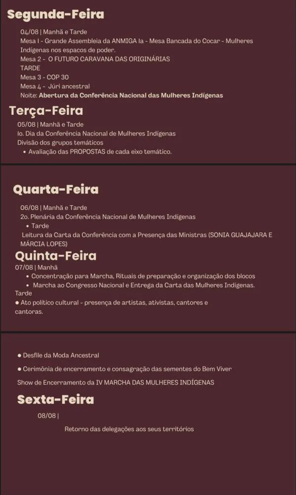 Representantes da TI Guarita integram IV Marcha das Mulheres Indígenas