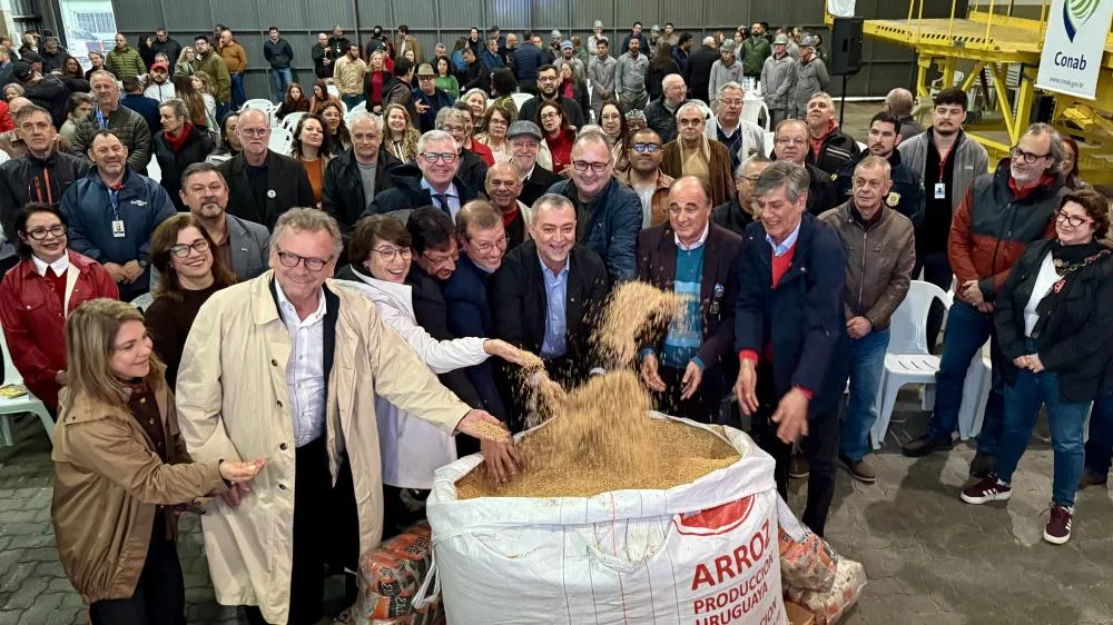 Conab celebra retomada dos estoques públicos de arroz após 11 anos, com ato em Pelotas