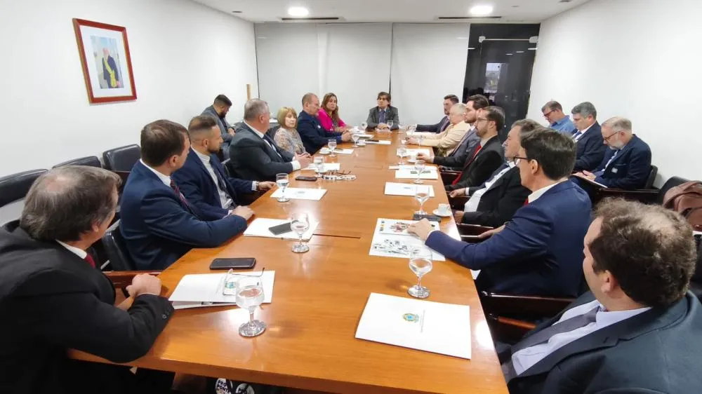 Comitiva da região Celeiro reforça em Brasília pedido por curso de Medicina em Tenente Portela