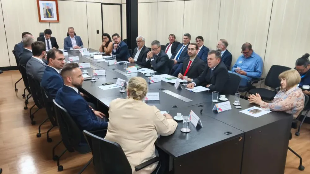 Comitiva da região Celeiro reforça em Brasília pedido por curso de Medicina em Tenente Portela