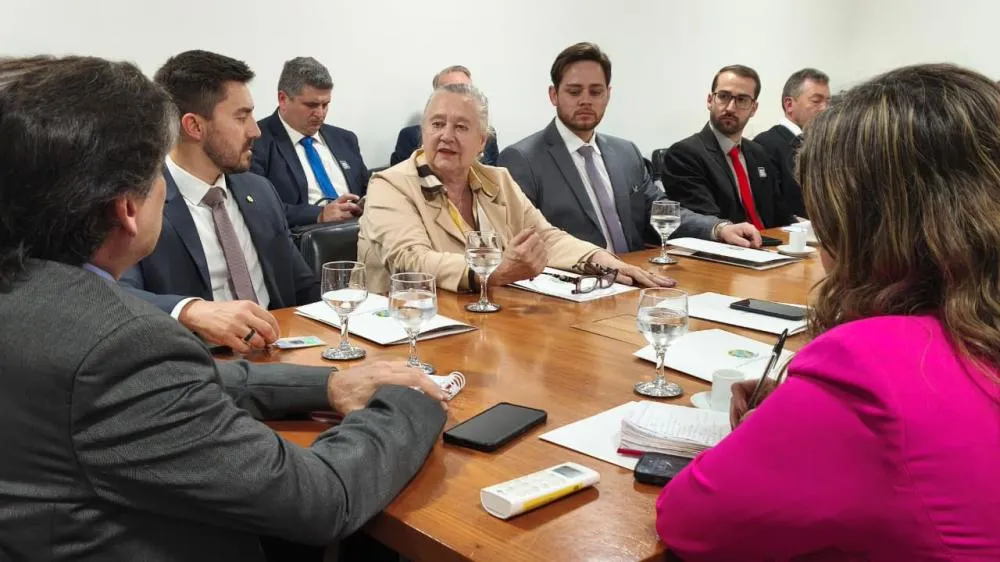 Comitiva da região Celeiro reforça em Brasília pedido por curso de Medicina em Tenente Portela