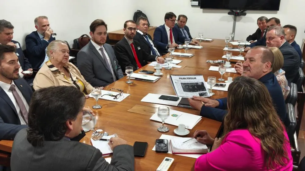 Comitiva da região Celeiro reforça em Brasília pedido por curso de Medicina em Tenente Portela