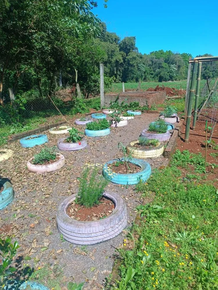 Projeto une saber popular e ensino sobre plantas medicinais em Vista Gaúcha