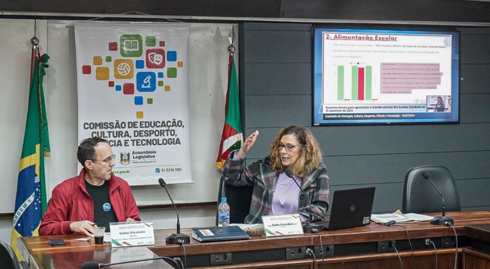 Deputada Sofia Cavedon apresentou os dados do monitoramento nesta terça | Foto: Debora Beina