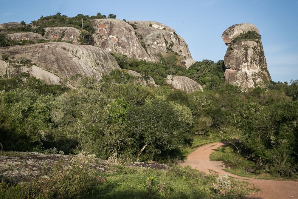 Decisão diz que proposta deve ser discutida na Câmara Técnica da Biodiversidade para incluir contribuições relativas à proteção do Pampa. Foto: Guilherme Santos/Sul21