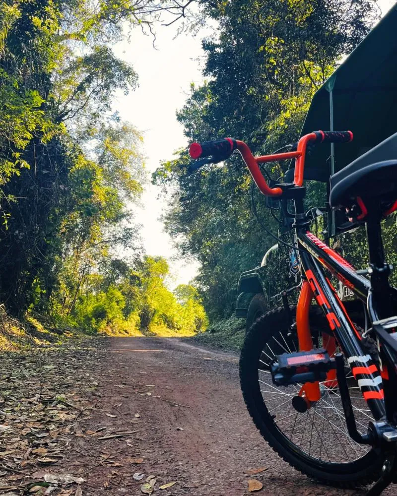 Percurso de 15 km pelo interior do Parque do Turvo pode ser realizado de bicicleta 