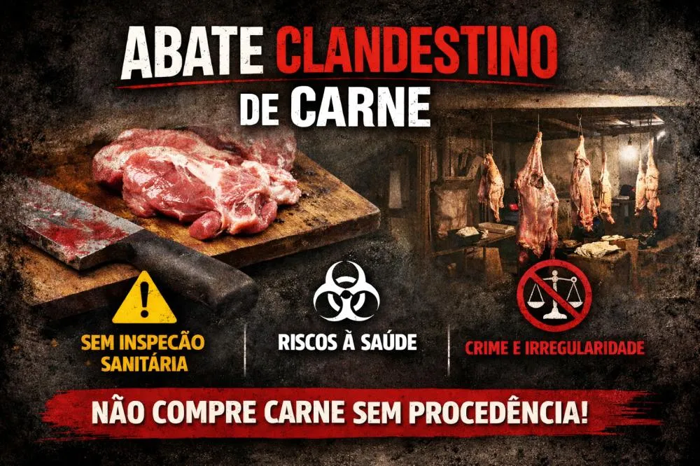 Imagem:Divulgaçao