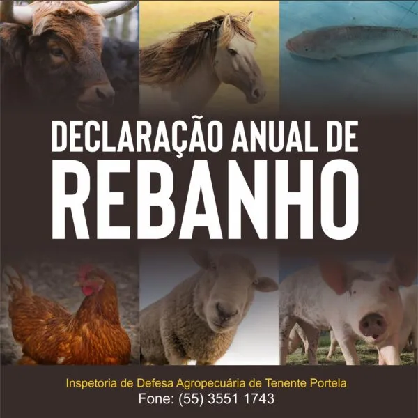 Imagem: Divulgação