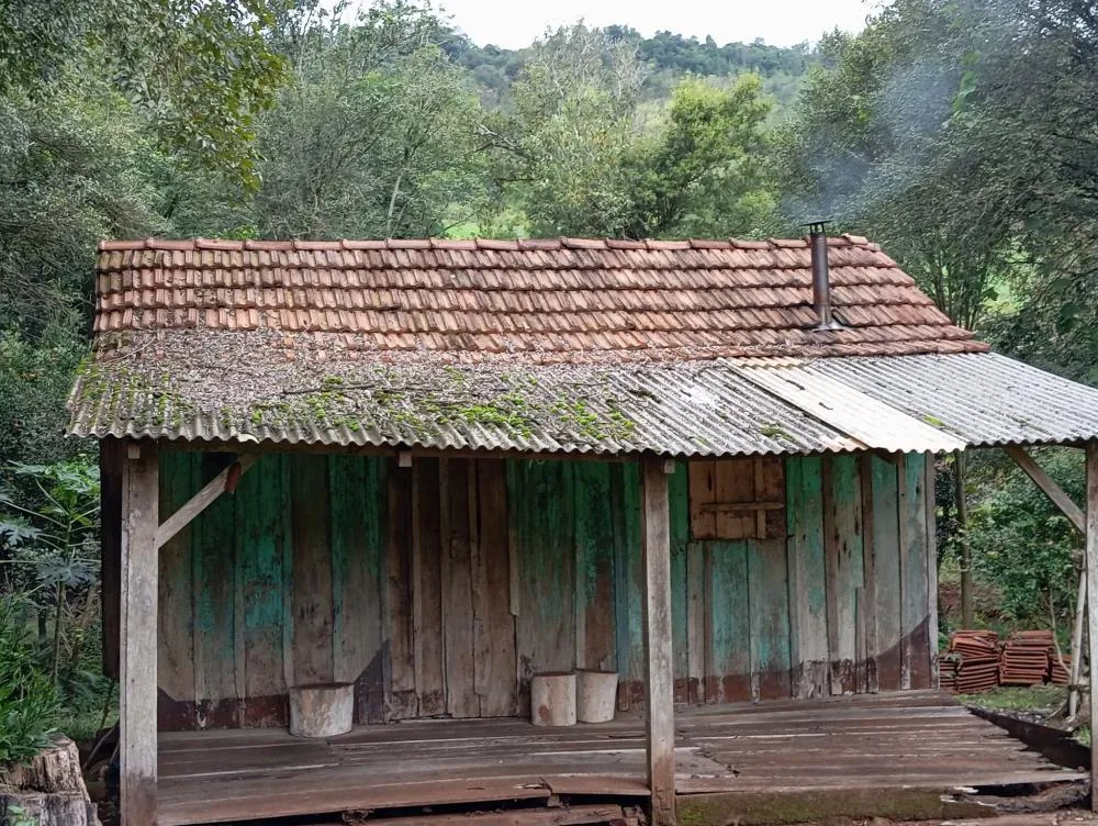 Secretaria de habitação e assistência social apresenta retrospectiva 2025
