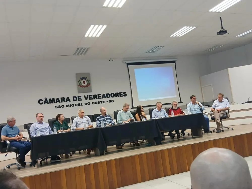 Lideranças reforçam articulação política para inclusão da ponte no PAC Obras