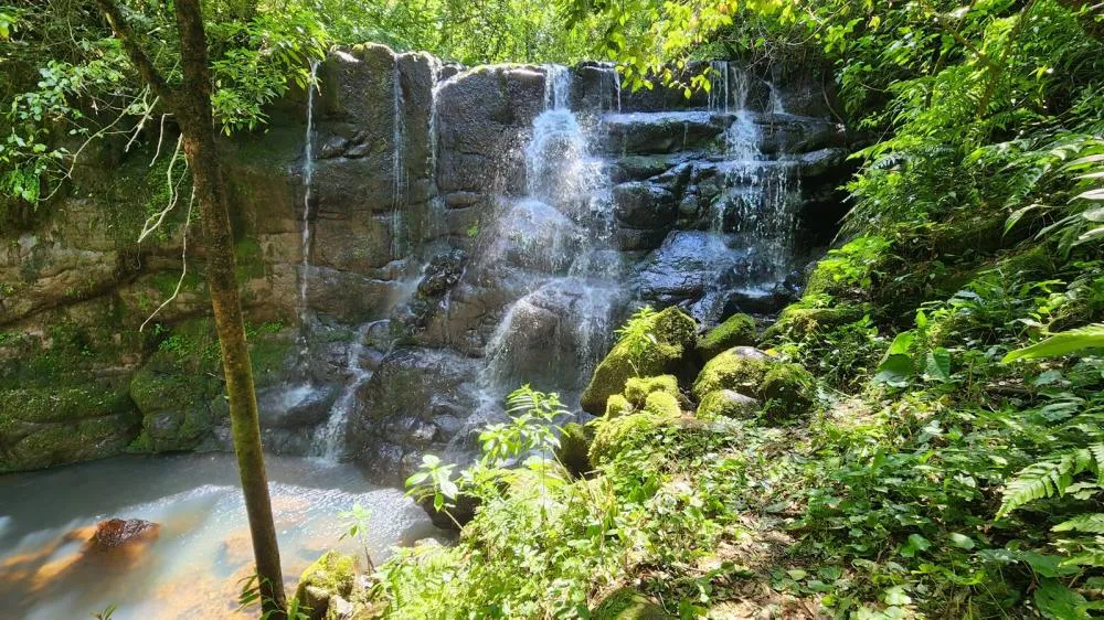 Parque do Turvo oferece ampla infraestrutura para a realização de atividades em meio à natureza