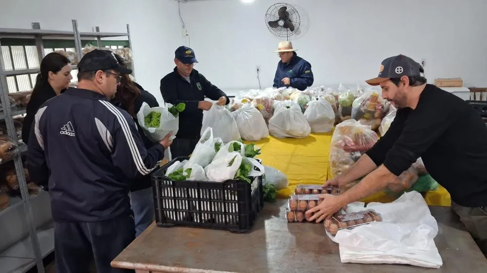 Programa de Aquisição de Alimentos beneficia famílias e fortalece agricultura familiar em Tenente Portela