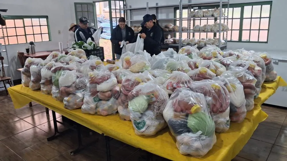 Programa de Aquisição de Alimentos beneficia famílias e fortalece agricultura familiar em Tenente Portela