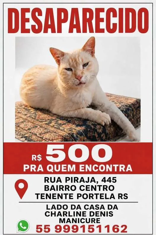 Arte: Divulgação
