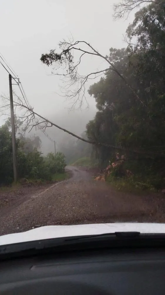 Chuvas causam alagamentos pontuais e interrupções temporárias em estradas de Vista Gaúcha