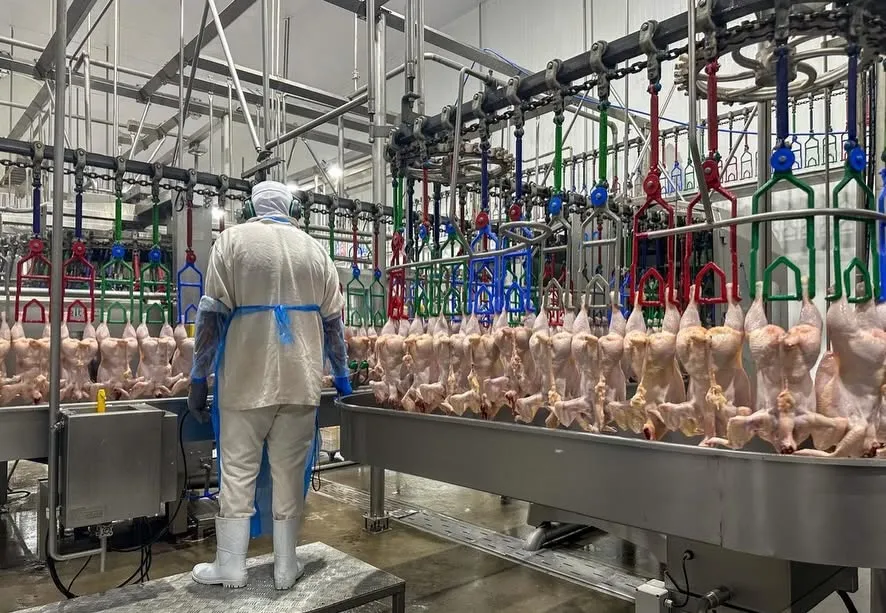 TRT-RS visita unidade da Mais Frango em Miraguaí