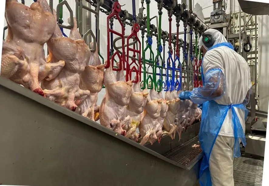 TRT-RS visita unidade da Mais Frango em Miraguaí