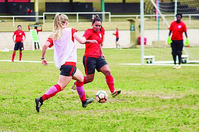 Frente tem como principal objetivo fazer a articulação política e social para a valorização do esporte e das profissionais envolvidas - Foto: Fabiana Reinholz