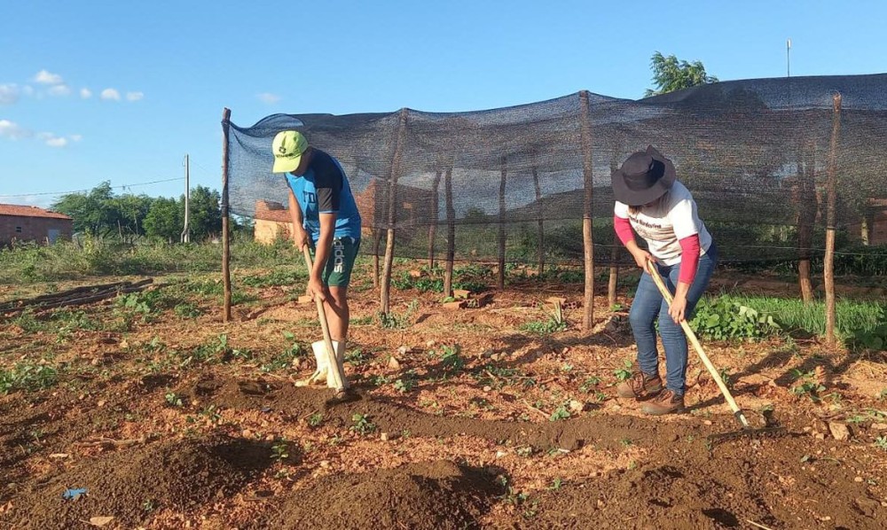 Tecnologia social que permite a produção de alimentos tem garantido segurança alimentar e gerado renda para comunidade quilombola São Martins, em Paulistana, sudoeste do Piauí. Foto: EMBRAPA/Divulgação