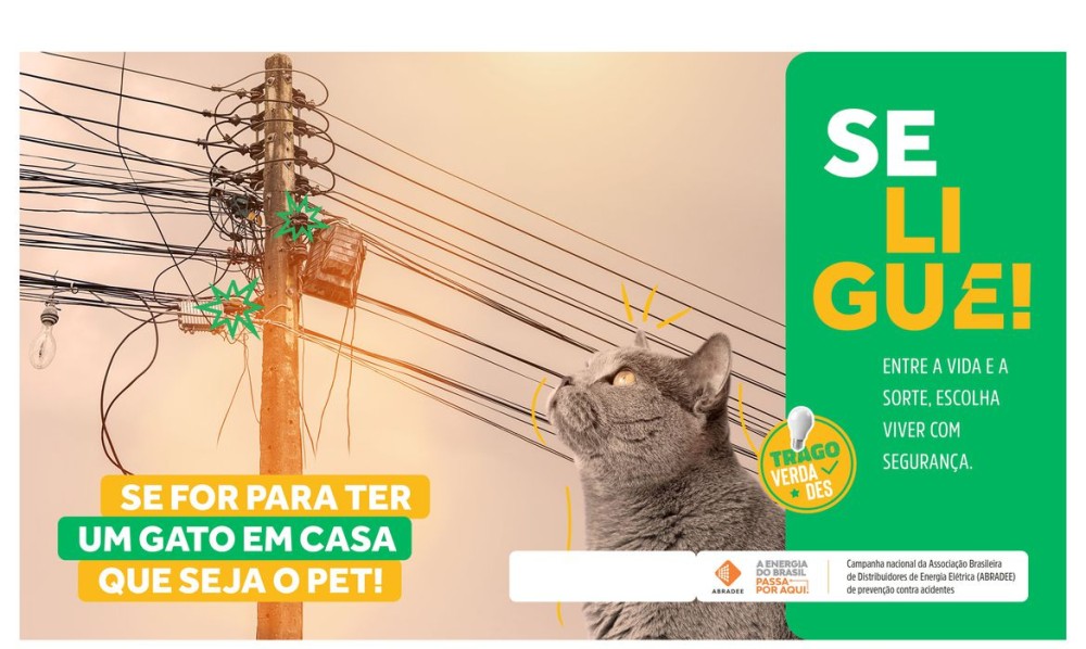 CAMPANHA NACIONAL FAZ ALERTA PARA ACIDENTES COM A REDE ELÉTRICA. Foto: ABRADEE/Divulgação