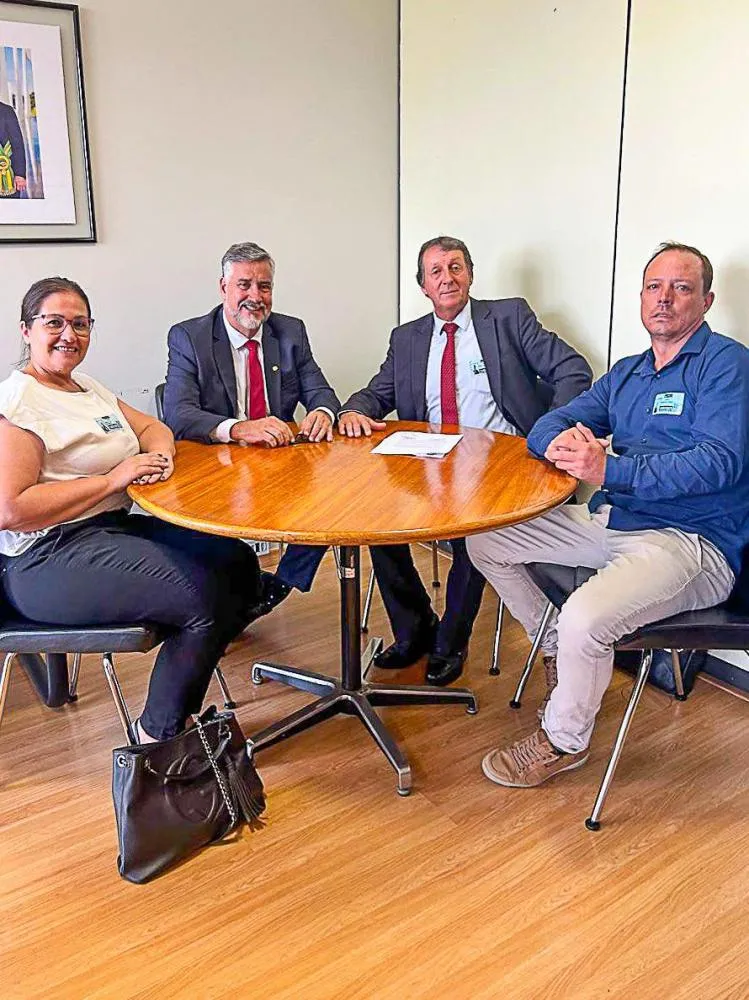 Prefeito e vereadores cumprem agenda em Brasília
