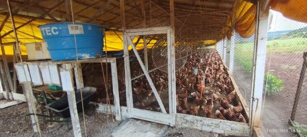 Município repassa equipamentos para agroindústria de produção de ovos