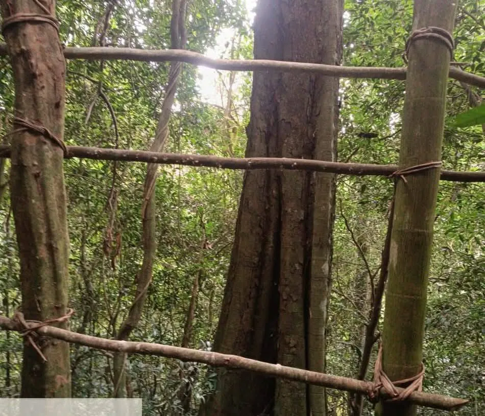 Fiscalização encontra acampamento ilegal no Parque Estadual do Turvo