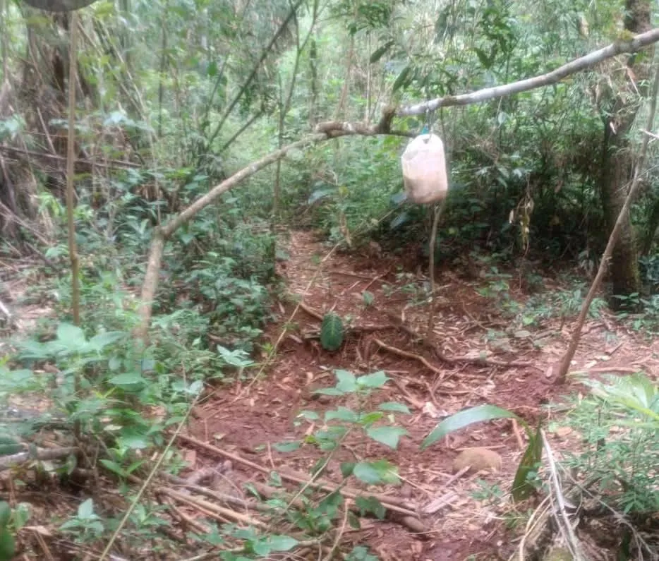 Fiscalização encontra acampamento ilegal no Parque Estadual do Turvo