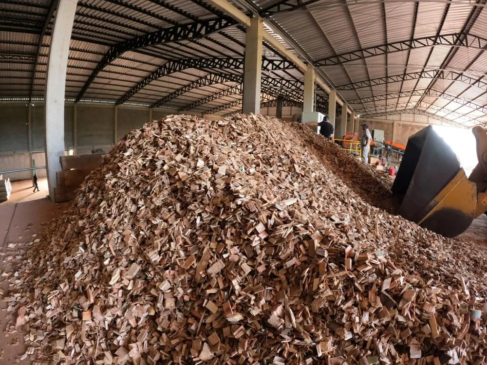 Prefeito visita fábrica de maravalha e destaca impacto econômico local