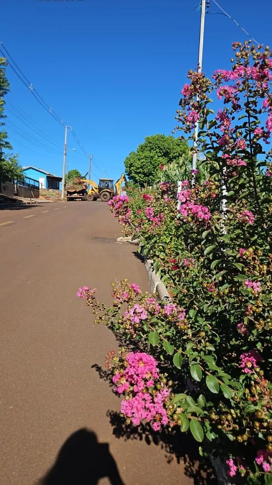 Limpeza urbana ganha reforço e melhora o visual da cidade