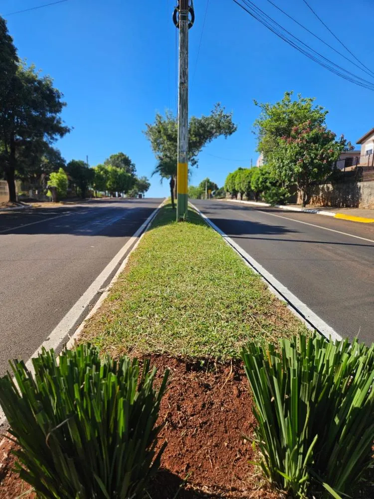 Limpeza urbana ganha reforço e melhora o visual da cidade