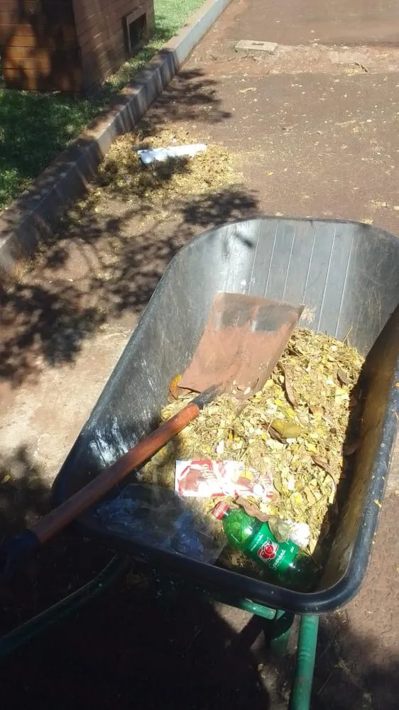 Limpeza urbana ganha reforço e melhora o visual da cidade