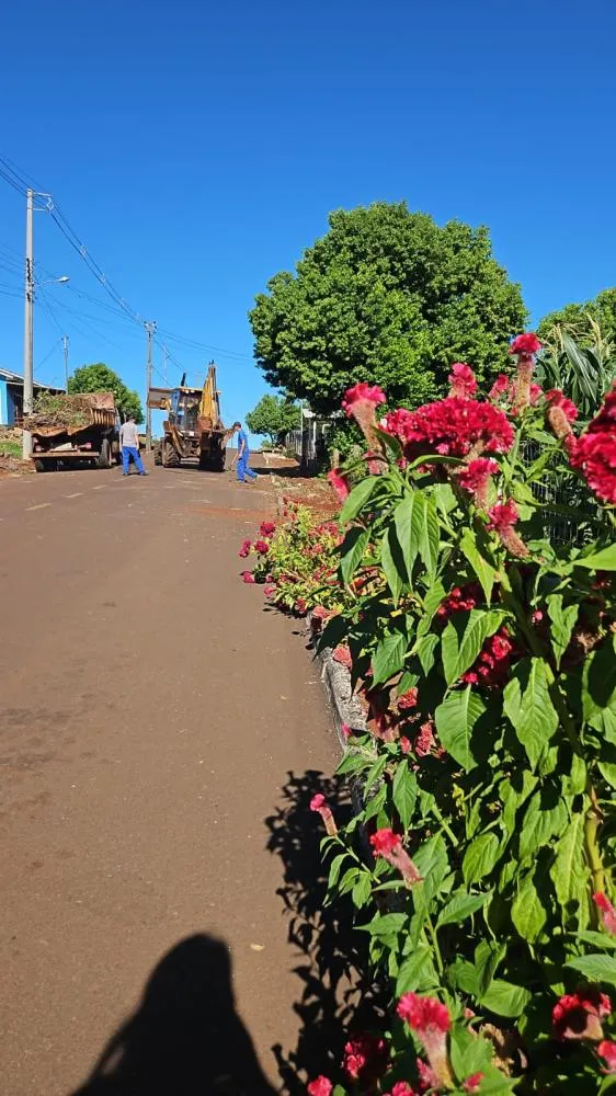 Limpeza urbana ganha reforço e melhora o visual da cidade